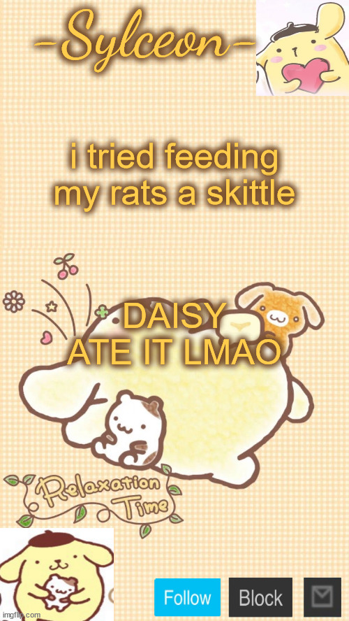 him <333 | i tried feeding my rats a skittle; DAISY ATE IT LMAO | image tagged in him 333 | made w/ Imgflip meme maker