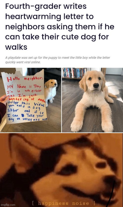 Such a heartwarming letter | image tagged in happiness noise,dogs,dog,memes,heartwarming,letter | made w/ Imgflip meme maker