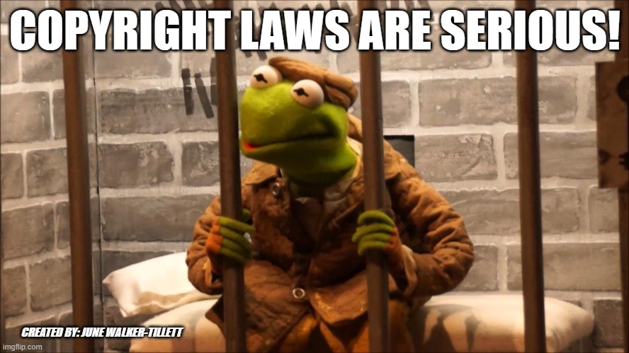 Copyright Laws | COPYRIGHT LAWS ARE SERIOUS! CREATED BY: JUNE WALKER-TILLETT | image tagged in kermit in jail | made w/ Imgflip meme maker