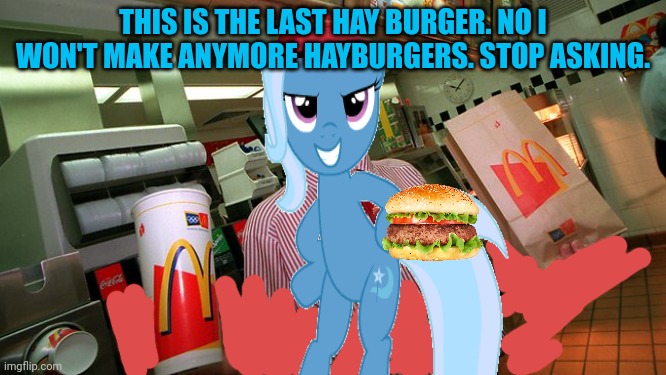 THIS IS THE LAST HAY BURGER. NO I WON'T MAKE ANYMORE HAYBURGERS. STOP ASKING. | made w/ Imgflip meme maker