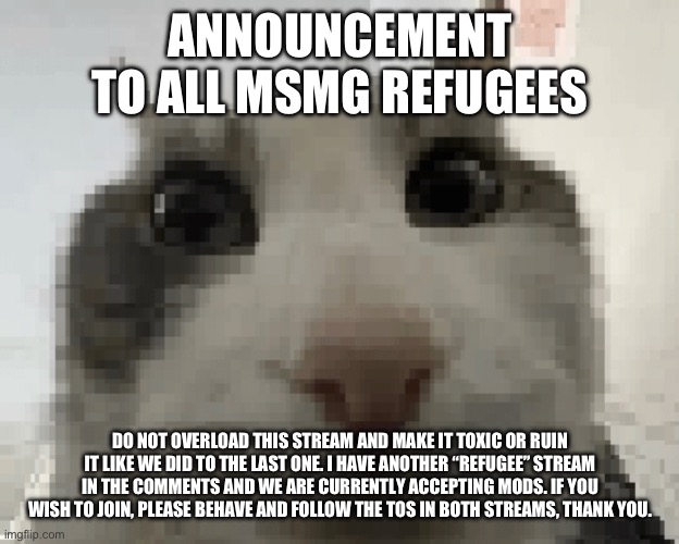 Time for me to get more active I guess. | ANNOUNCEMENT TO ALL MSMG REFUGEES; DO NOT OVERLOAD THIS STREAM AND MAKE IT TOXIC OR RUIN IT LIKE WE DID TO THE LAST ONE. I HAVE ANOTHER “REFUGEE” STREAM IN THE COMMENTS AND WE ARE CURRENTLY ACCEPTING MODS. IF YOU WISH TO JOIN, PLEASE BEHAVE AND FOLLOW THE TOS IN BOTH STREAMS, THANK YOU. | made w/ Imgflip meme maker