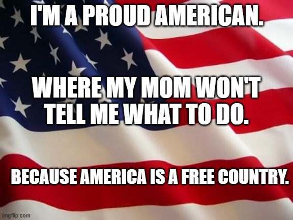 American flag | I'M A PROUD AMERICAN. WHERE MY MOM WON'T TELL ME WHAT TO DO. BECAUSE AMERICA IS A FREE COUNTRY. | image tagged in american flag | made w/ Imgflip meme maker