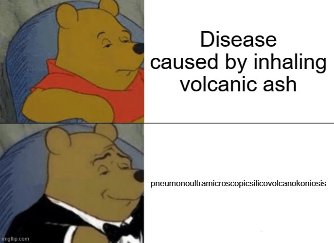 I'm the longest word | Disease caused by inhaling volcanic ash; pneumonoultramicroscopicsilicovolcanokoniosis | image tagged in memes,tuxedo winnie the pooh | made w/ Imgflip meme maker