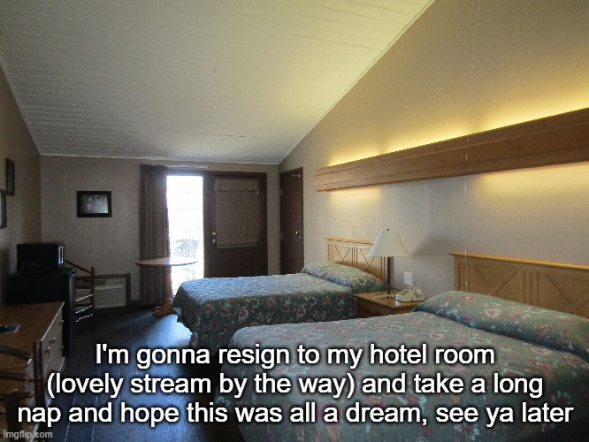 I'm gonna resign to my hotel room (lovely stream by the way) and take a long nap and hope this was all a dream, see ya later | made w/ Imgflip meme maker