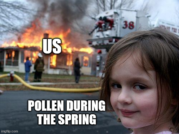 Pollen hits hard as hell | US; POLLEN DURING THE SPRING | image tagged in memes,disaster girl | made w/ Imgflip meme maker