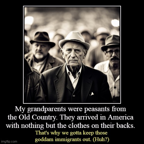 Makes no sense. | My grandparents were peasants from the Old Country. They arrived in America with nothing but the clothes on their backs. | That's why we got | image tagged in funny,demotivationals,immigrants,peasant,immigration,poverty | made w/ Imgflip demotivational maker