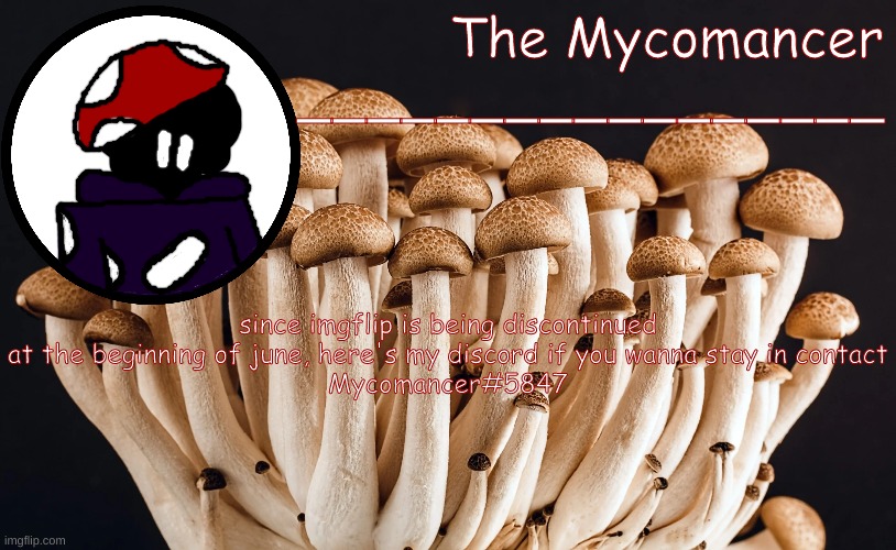 ; | since imgflip is being discontinued at the beginning of june, here's my discord if you wanna stay in contact
Mycomancer#5847 | made w/ Imgflip meme maker