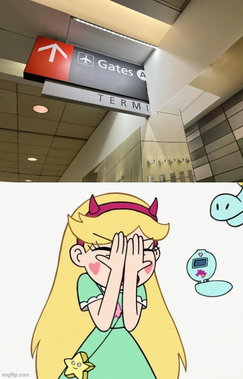 New wall construction in Philly Airport…. | image tagged in star butterfly severe facepalm,you had one job,star vs the forces of evil,memes | made w/ Imgflip meme maker