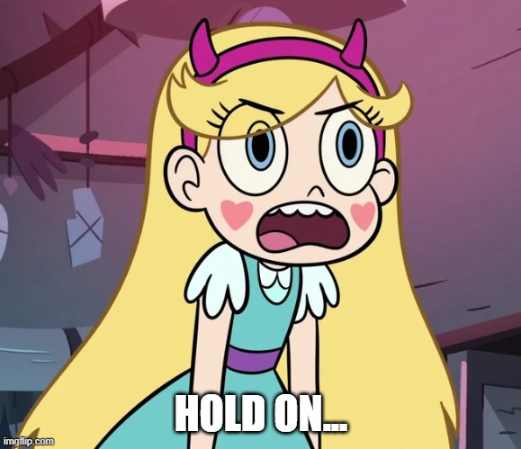 Star Butterfly frustrated | HOLD ON... | image tagged in star butterfly frustrated | made w/ Imgflip meme maker