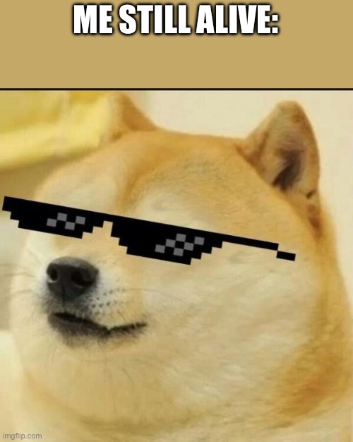 You guys thought I was gone | ME STILL ALIVE: | image tagged in sunglass doge,it's alive | made w/ Imgflip meme maker