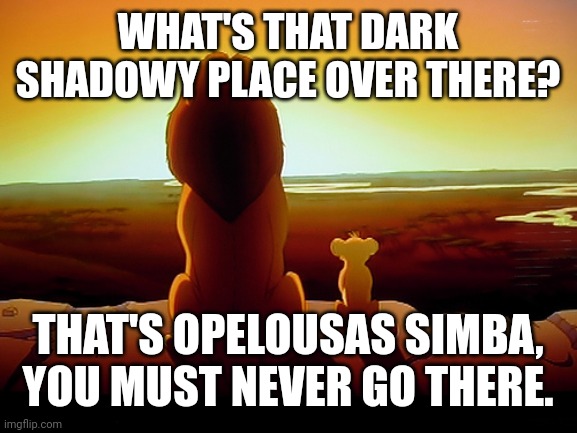 Lion King Meme | WHAT'S THAT DARK SHADOWY PLACE OVER THERE? THAT'S OPELOUSAS SIMBA, YOU MUST NEVER GO THERE. | image tagged in memes,lion king | made w/ Imgflip meme maker