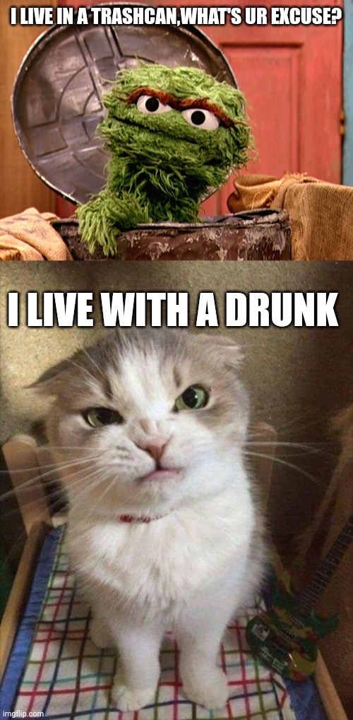 I LIVE IN A TRASHCAN,WHAT'S UR EXCUSE? I LIVE WITH A DRUNK | image tagged in oscar the grouch,angry cat | made w/ Imgflip meme maker