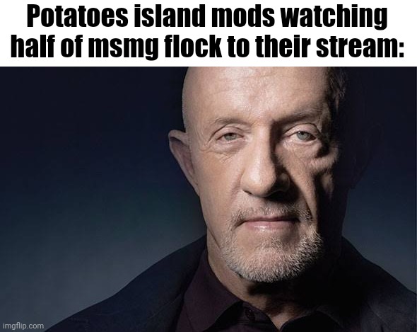 Kid Named | Potatoes island mods watching half of msmg flock to their stream: | image tagged in kid named | made w/ Imgflip meme maker