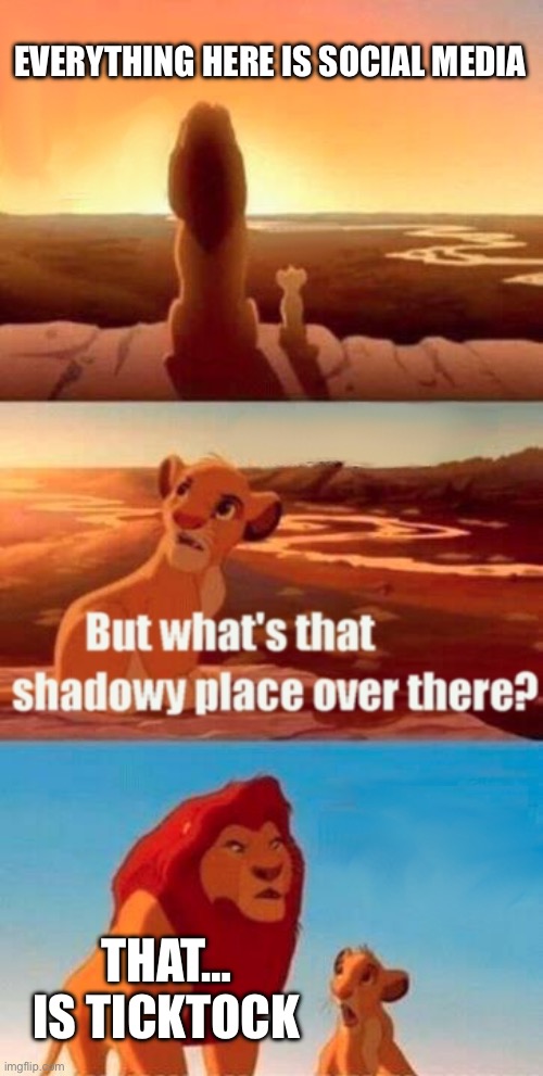 Ticktock goofy ahhhhhh! | EVERYTHING HERE IS SOCIAL MEDIA; THAT… IS TICKTOCK | image tagged in memes,simba shadowy place | made w/ Imgflip meme maker