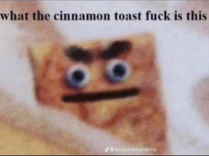 What the cinnamon tost f mem Blank Meme Template