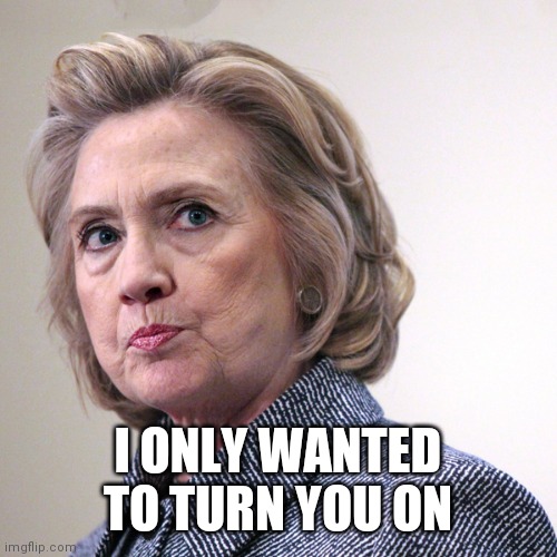 hillary clinton pissed | I ONLY WANTED TO TURN YOU ON | image tagged in hillary clinton pissed | made w/ Imgflip meme maker