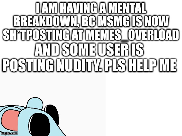 I AM HAVING A MENTAL BREAKDOWN, BC MSMG IS NOW SH*TPOSTING AT MEMES_OVERLOAD; AND SOME USER IS POSTING NUDITY. PLS HELP ME | made w/ Imgflip meme maker