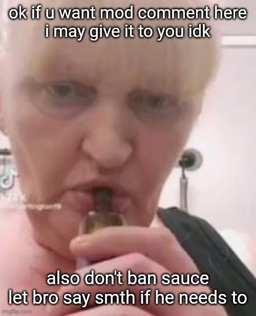 iswearbdfnfnnghk | ok if u want mod comment here
i may give it to you idk; also don't ban sauce
let bro say smth if he needs to | image tagged in iswearbdfnfnnghk | made w/ Imgflip meme maker