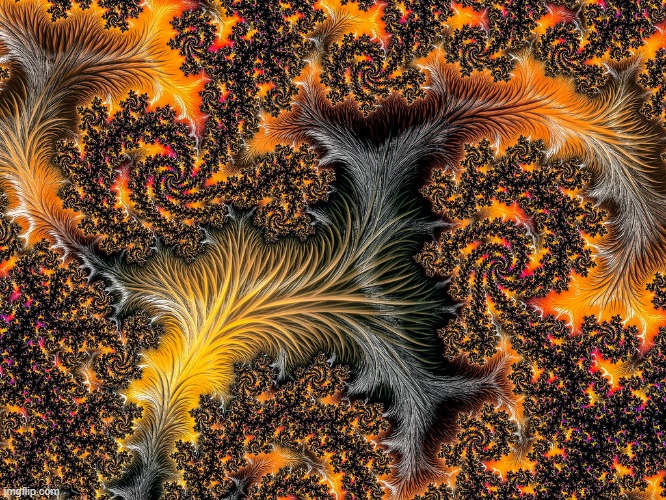 look at this wacky image | made w/ Imgflip meme maker
