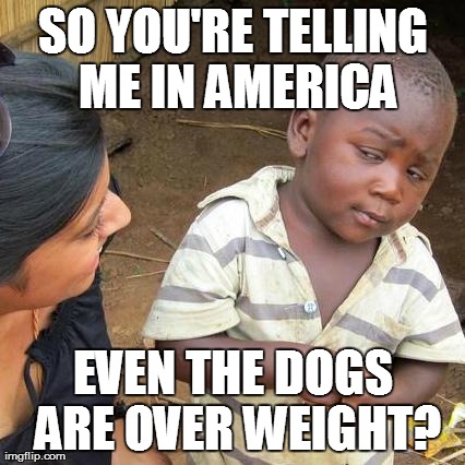 Even our DOGS are fat? | SO YOU'RE TELLING ME IN AMERICA EVEN THE DOGS ARE OVER WEIGHT? | image tagged in memes,third world skeptical kid,fat dogs | made w/ Imgflip meme maker