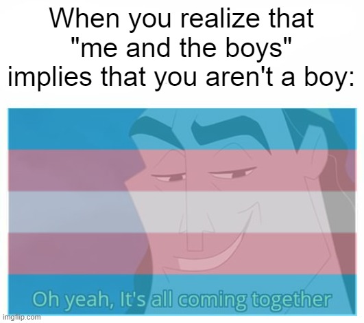 Trans meme | When you realize that "me and the boys" implies that you aren't a boy: | image tagged in transgender | made w/ Imgflip meme maker