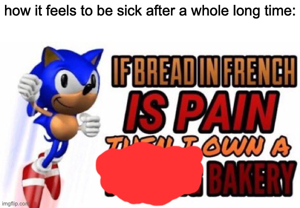 e | how it feels to be sick after a whole long time: | image tagged in if bread in french is pain,pain | made w/ Imgflip meme maker