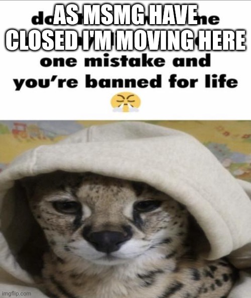 dont fuсk with me and my discord gang | AS MSMG HAVE CLOSED I'M MOVING HERE | image tagged in dont fu k with me and my discord gang | made w/ Imgflip meme maker