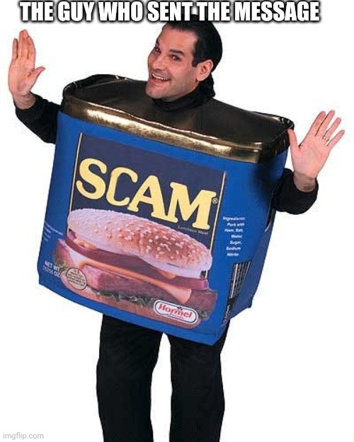 Scam | THE GUY WHO SENT THE MESSAGE | image tagged in scam | made w/ Imgflip meme maker