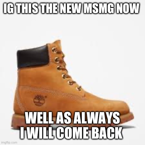 tim | IG THIS THE NEW MSMG NOW; WELL AS ALWAYS I WILL COME BACK | image tagged in tim | made w/ Imgflip meme maker