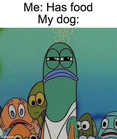They just stare at you | Me: Has food; My dog: | image tagged in spongebob,food,dog,dogs,stare,why are you reading this | made w/ Imgflip meme maker