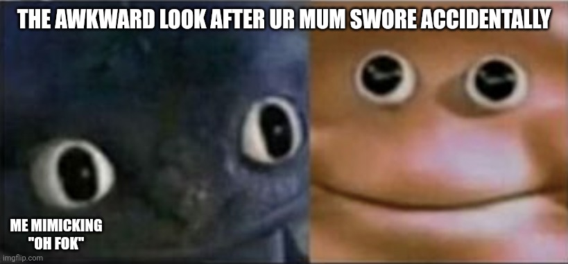 BelugaTheFirst#9128 | THE AWKWARD LOOK AFTER UR MUM SWORE ACCIDENTALLY; ME MIMICKING "OH FOK" | image tagged in blank stare dragon | made w/ Imgflip meme maker