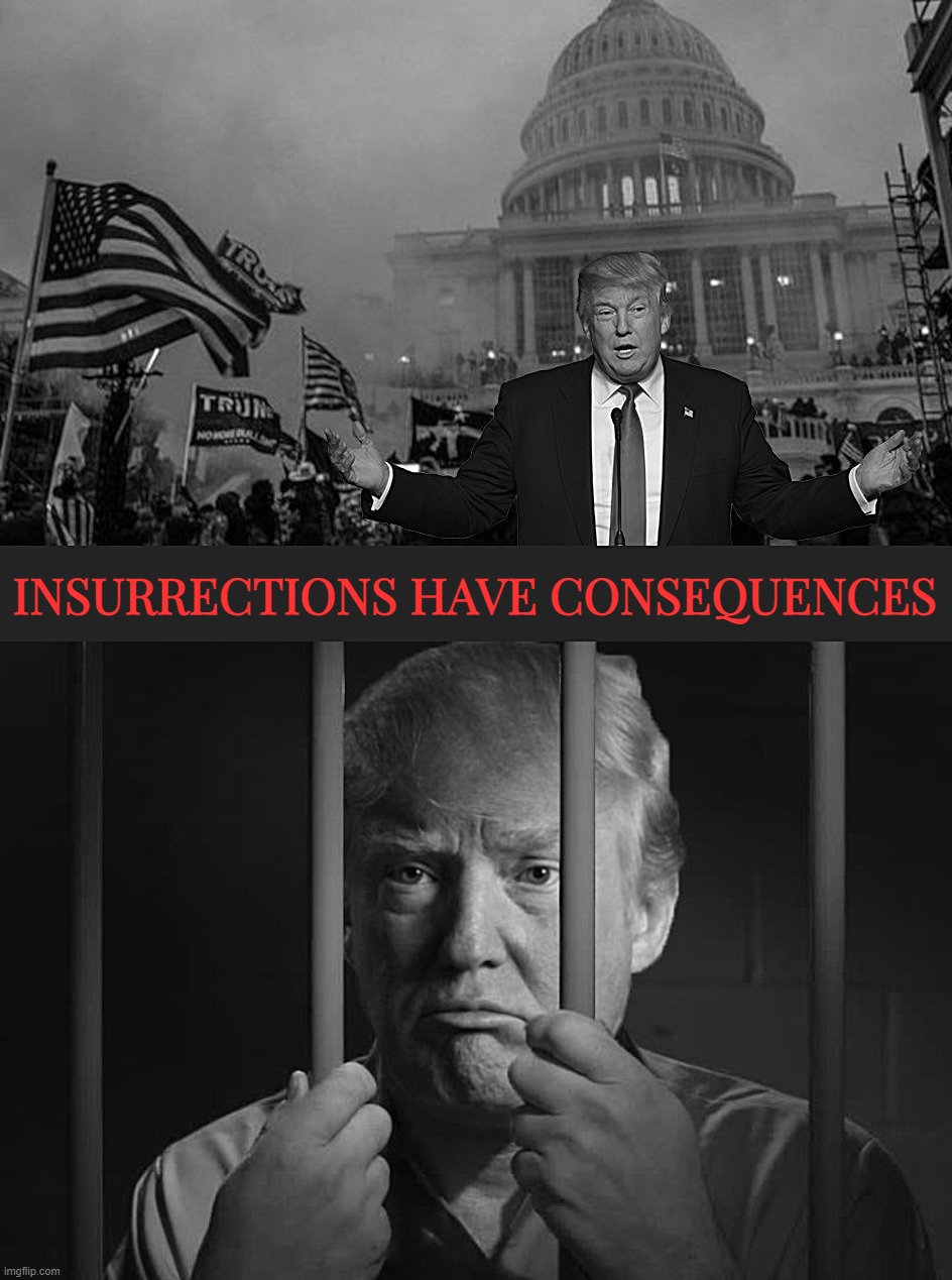 *cell door slamming shut* | INSURRECTIONS HAVE CONSEQUENCES | image tagged in misconstrued coup,trump jail bars steel wall | made w/ Imgflip meme maker