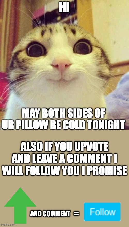 I'll do it I promise | HI; MAY BOTH SIDES OF UR PILLOW BE COLD TONIGHT; ALSO IF YOU UPVOTE AND LEAVE A COMMENT I WILL FOLLOW YOU I PROMISE; AND COMMENT; = | image tagged in memes,smiling cat | made w/ Imgflip meme maker