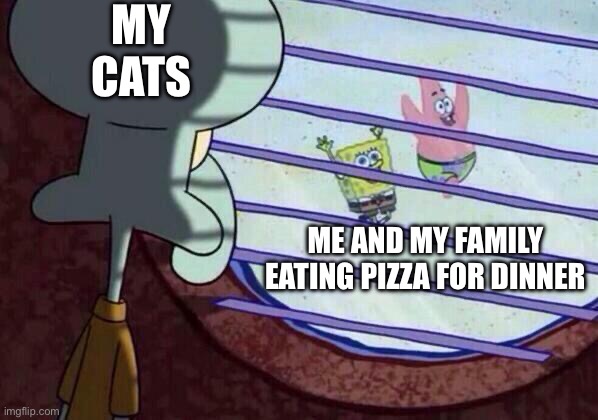 Chance to swipe a crust:Taken. | MY CATS; ME AND MY FAMILY EATING PIZZA FOR DINNER | image tagged in squidward window | made w/ Imgflip meme maker