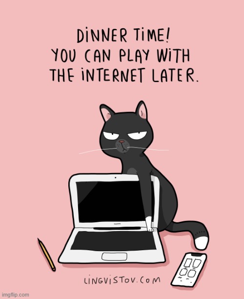 A Cat's Way Of Thinking | image tagged in memes,comics/cartoons,cats,dinner,internet,it's time to stop | made w/ Imgflip meme maker