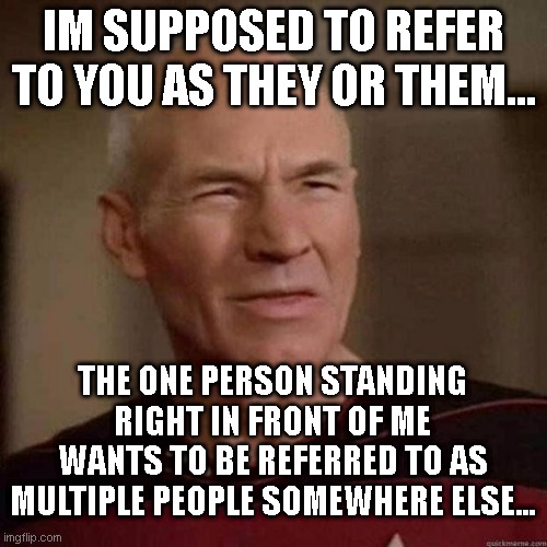 liberals : we're not mentally ill....also liberals: | IM SUPPOSED TO REFER TO YOU AS THEY OR THEM... THE ONE PERSON STANDING RIGHT IN FRONT OF ME WANTS TO BE REFERRED TO AS MULTIPLE PEOPLE SOMEWHERE ELSE... | image tagged in dafuq picard | made w/ Imgflip meme maker