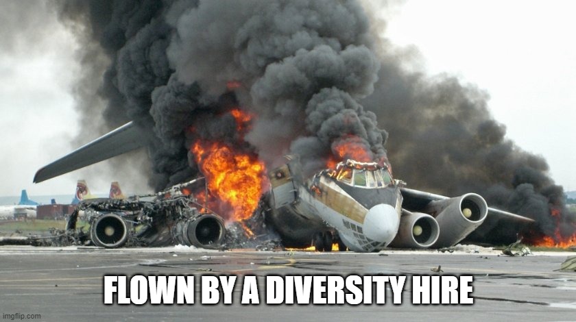 plane crash :( | FLOWN BY A DIVERSITY HIRE | image tagged in plane crash | made w/ Imgflip meme maker