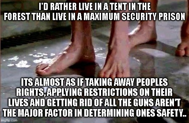 drop the soap | I'D RATHER LIVE IN A TENT IN THE FOREST THAN LIVE IN A MAXIMUM SECURITY PRISON; ITS ALMOST AS IF TAKING AWAY PEOPLES RIGHTS, APPLYING RESTRICTIONS ON THEIR LIVES AND GETTING RID OF ALL THE GUNS AREN'T THE MAJOR FACTOR IN DETERMINING ONES SAFETY.. | image tagged in drop the soap | made w/ Imgflip meme maker