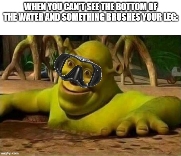 shrek | WHEN YOU CAN'T SEE THE BOTTOM OF THE WATER AND SOMETHING BRUSHES YOUR LEG: | image tagged in shrek,memes | made w/ Imgflip meme maker