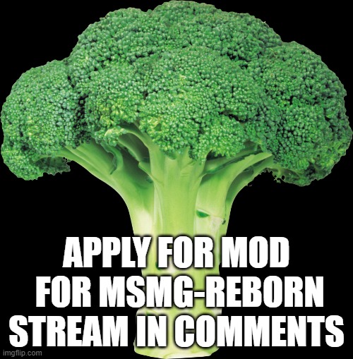 broccoli | APPLY FOR MOD  FOR MSMG-REBORN STREAM IN COMMENTS | image tagged in broccoli | made w/ Imgflip meme maker