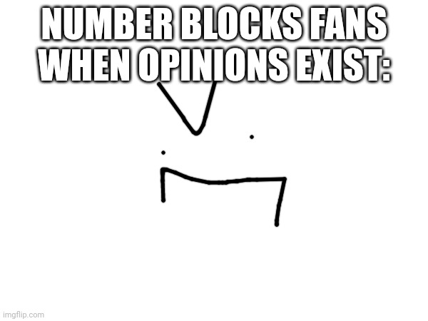 Someone said this on scratch before I got banned | NUMBER BLOCKS FANS WHEN OPINIONS EXIST: | image tagged in scratch | made w/ Imgflip meme maker