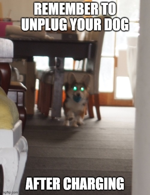 UnplugYourDog | REMEMBER TO UNPLUG YOUR DOG; AFTER CHARGING | image tagged in dogs,corgis | made w/ Imgflip meme maker