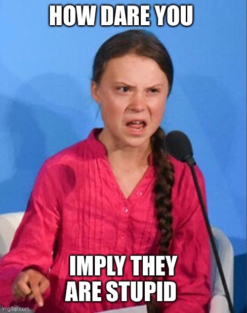 Greta Thunberg how dare you | HOW DARE YOU IMPLY THEY ARE STUPID | image tagged in greta thunberg how dare you | made w/ Imgflip meme maker