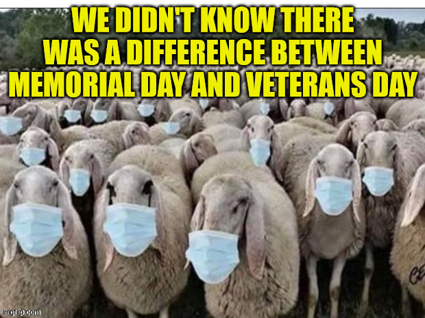 Sign of the Sheeple | WE DIDN'T KNOW THERE WAS A DIFFERENCE BETWEEN MEMORIAL DAY AND VETERANS DAY | image tagged in sign of the sheeple | made w/ Imgflip meme maker