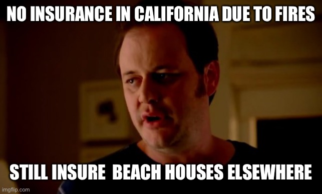 Jake from state farm | NO INSURANCE IN CALIFORNIA DUE TO FIRES STILL INSURE  BEACH HOUSES ELSEWHERE | image tagged in jake from state farm | made w/ Imgflip meme maker