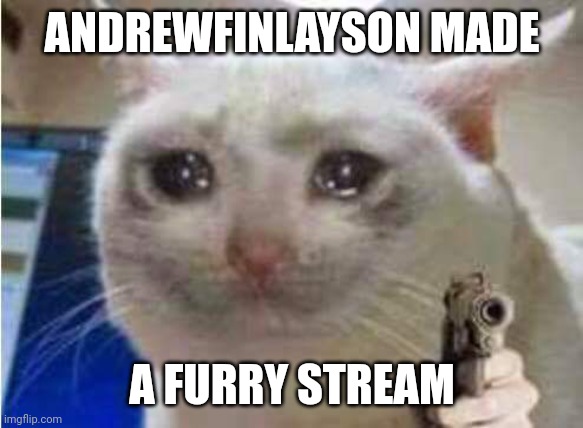Sad cat with gun | ANDREWFINLAYSON MADE A FURRY STREAM | image tagged in sad cat with gun | made w/ Imgflip meme maker