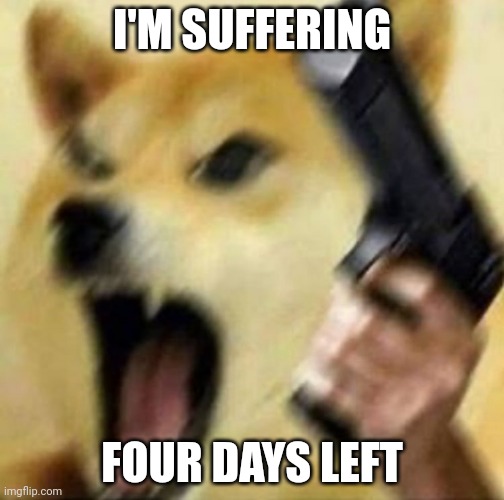 Isl, business, science and math tests left | I'M SUFFERING; FOUR DAYS LEFT | image tagged in angry doge with gun | made w/ Imgflip meme maker