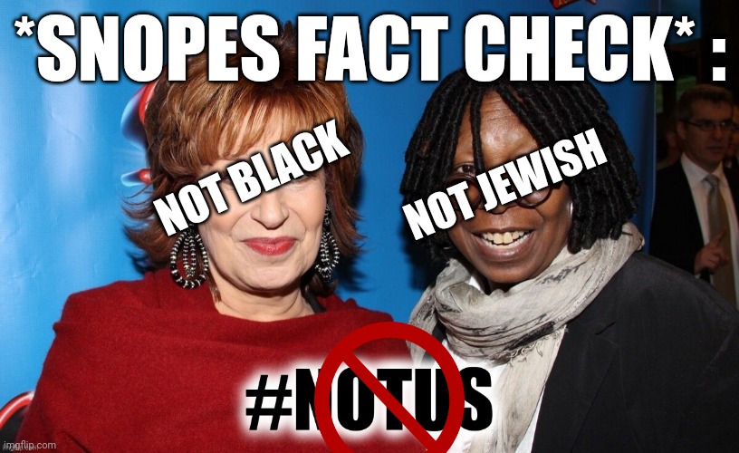 *SNOPES FACT CHECK* : NOT JEWISH NOT BLACK | made w/ Imgflip meme maker