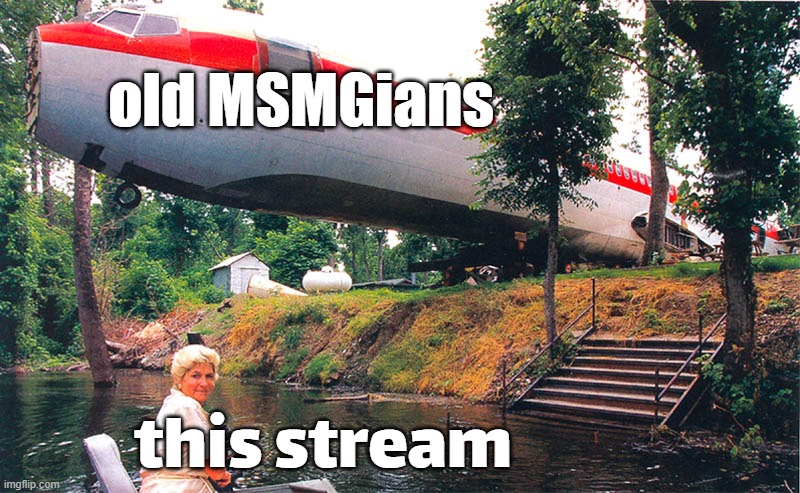 plane crash | old MSMGians; this stream | image tagged in plane crash | made w/ Imgflip meme maker