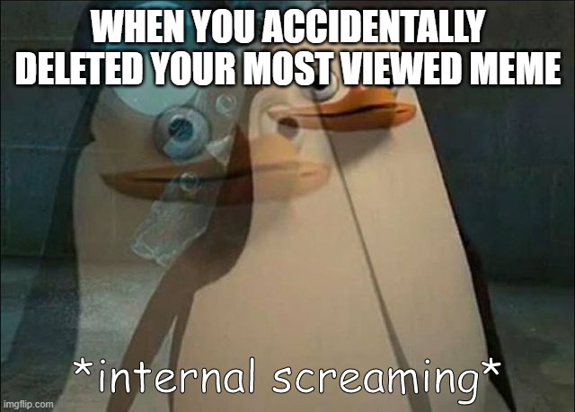 heh!! | WHEN YOU ACCIDENTALLY DELETED YOUR MOST VIEWED MEME | image tagged in private internal screaming | made w/ Imgflip meme maker